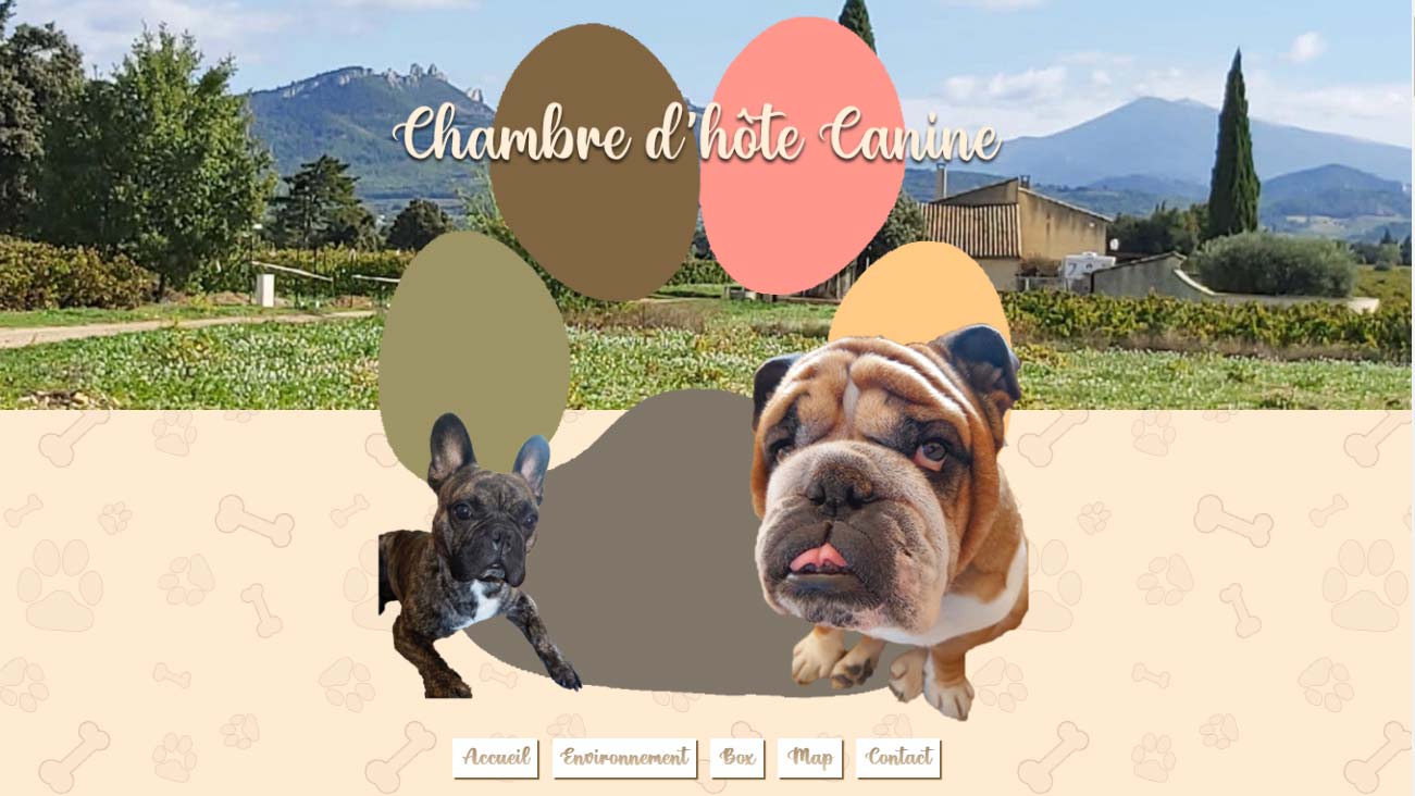 chambre-hote-canine